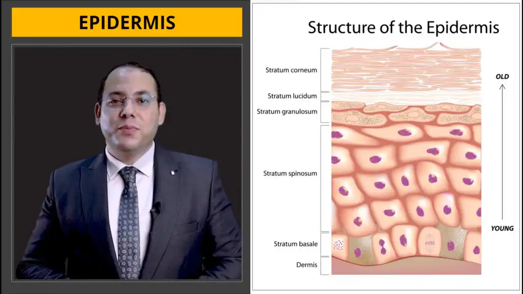التجميل الطبي الاحترافي