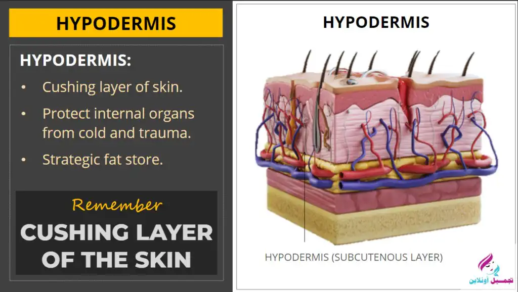 طرق العناية بالبشرة