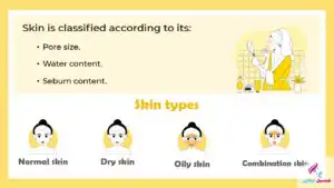 تشريح الجلد كورس العناية بالبشرة