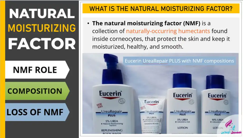 انواع البشرة دبلومة التجميل